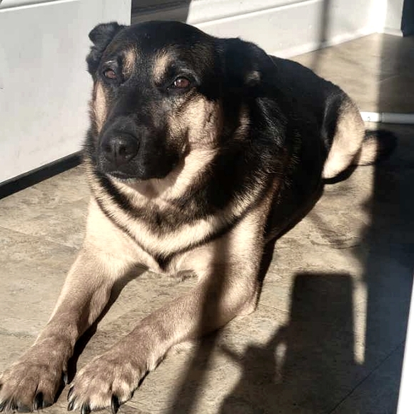 Meet your Poshers, Los Carmenatty - Picture 12 of 16